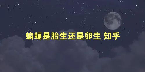 蝙蝠是胎生还是卵生 知乎